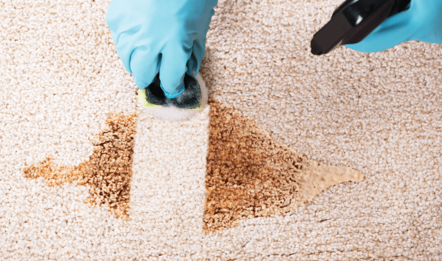 HOUSEKEEPING
